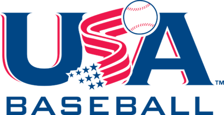 USA Baseball Bat Stamp